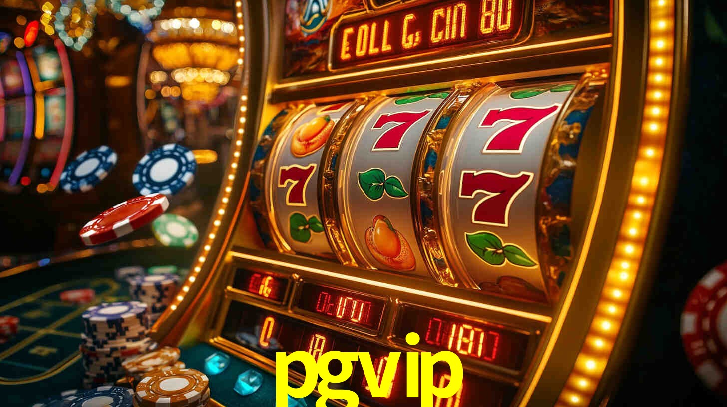 Programa VIP
