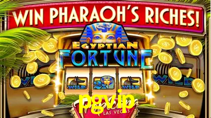 Descubra o Mundo do Cassino Online com pgvip