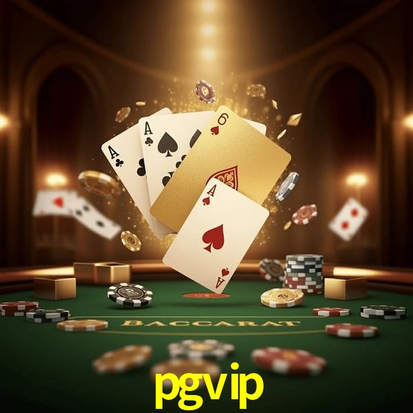 VIP Casino pgvip