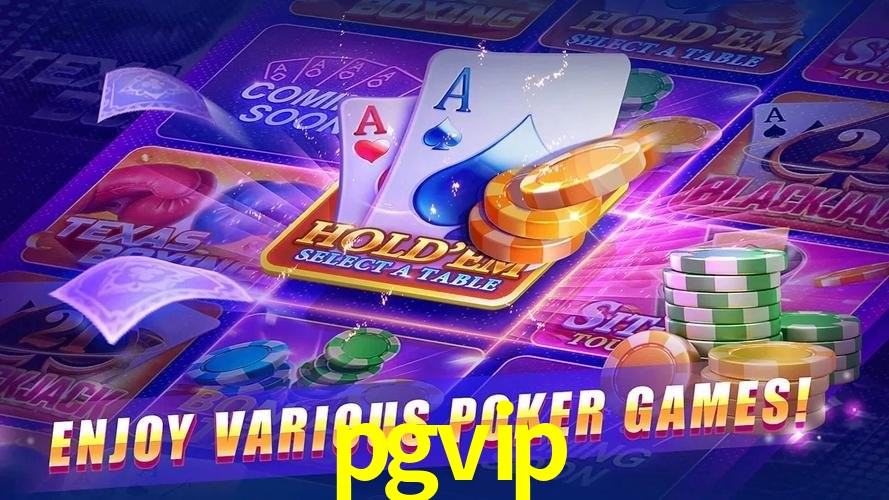 Interface Premium pgvip